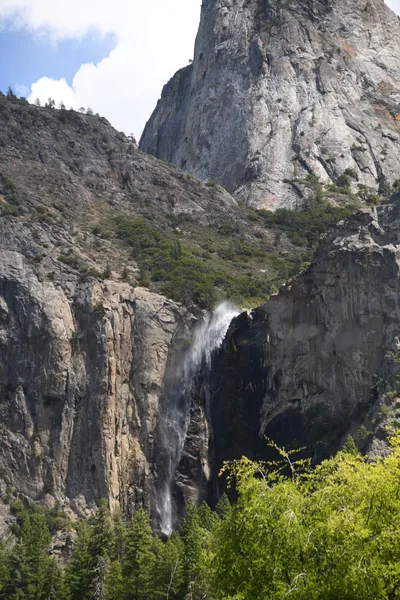 DSC_4360 (Large).JPG